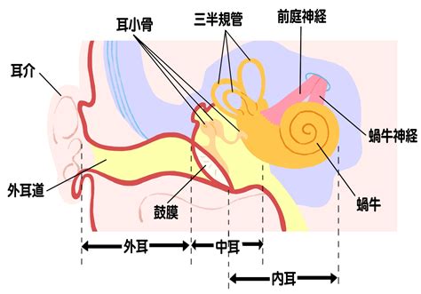 右耳 耳鳴|耳鳴りが続く・めまいが起こる耳の病気 原因や症状。